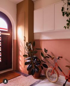 a bicycle parked in front of a door with a potted plant next to it