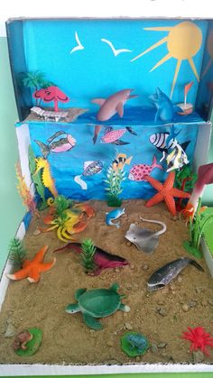 an open box filled with different types of sea animals and fish in it's sand