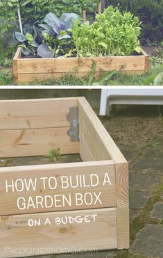 the garden box is made out of wood and has plants growing in it, along with text overlay that reads how to build a garden box on a budget