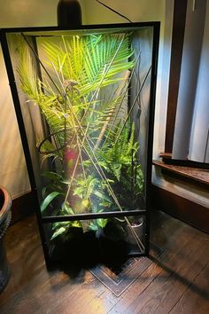 an aquarium with plants in it sitting on the floor