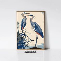 two blue herons standing next to each other in front of a white wall with the words real art print on it