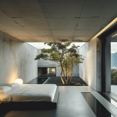 a bedroom with a tree in the corner and a bed on the other side, next to a large window