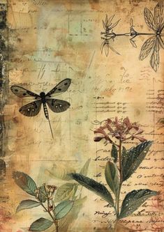 an image of a butterfly and flowers on a piece of paper with writing in the background