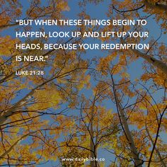 trees with yellow leaves and the words, but when these things begin to happen, look up and lift up your heads, because your redemption