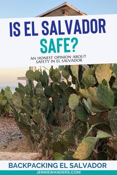 Is El Salvador Safe? Solo Female Travellers Advice. Female Traveller, El Salvador Travel, Lds Mission, Girl Trip, Black Sand Beach, Common Questions, Female Travel