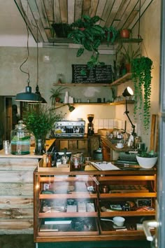 a kitchen filled with lots of potted plants