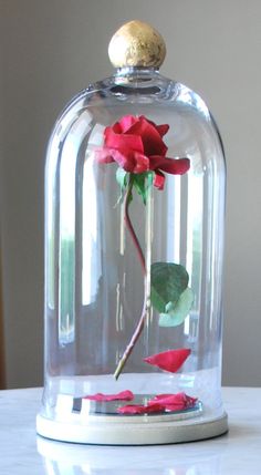 a red rose is in a glass dome with water and petals on the bottom half