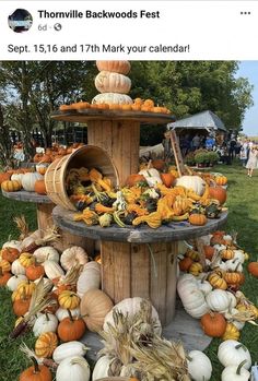 an outdoor display with pumpkins and gourds