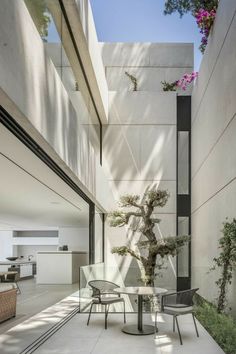 an outdoor dining area with table, chairs and bonsai tree