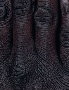 closeup of an elephant's skin with black paint