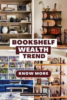 Navigating Bookshelf Wealth Bookshelf Wealth Aesthetic, Bookshelf Wealth, Bookshelf Styling Living Room, Bookshelves Aesthetic, Colorful Bookshelf, Styling Bookshelves, Home Bookshelves, Aesthetic Sense