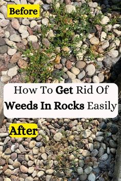 rocks and grass with the words how to get rid of weeds in rocks easily before and after