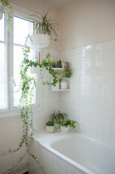 a white tiled bathroom with plants on the window sill and bathtub in it