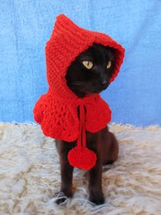 a black cat wearing a red knitted hat and scarf