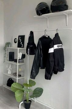 a motorcycle helmet and jacket hanging on a rack next to a potted plant in a white room