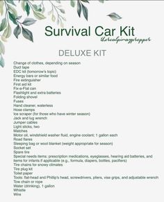 Car Survival Kits Diy, Car Living Hacks, Emergency Preparedness Food, Car Emergency Kit, Emergency Survival Kit, Emergency Bag