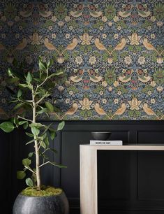 a potted plant sitting on top of a wooden table next to a wall paper