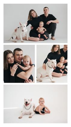 a family poses with their dog and baby in this studio photo session for the camera