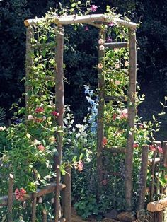 an outdoor garden with various plants and flowers