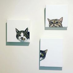 three pictures of cats are hanging on the wall with one cat's head peeking out