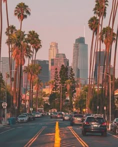 cars are driving down the street in front of tall buildings and palm trees with skyscrapers in the background