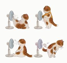 four different images of a cat using a fan