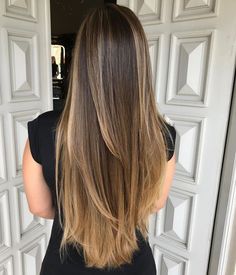 Dark Brown To Blonde Ombre Hair, Balayage Hair Blonde Straight Long, Honey Bayalage Brunette Straight, Highlits Hair Brunettes, Long Straight Hair Balayage, Blonde Balayage On Dark Hair Straight, Blonde Highlights On Dark Hair Straight, Straight Hair Balayage Brown, Brown Hair With Highlights Straight