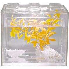 an aquarium filled with yellow flowers and shells