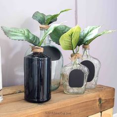 three vases with plants in them sitting on a table