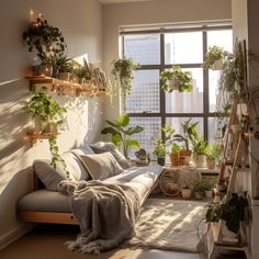 a living room filled with lots of plants next to a large window covered in sunlight