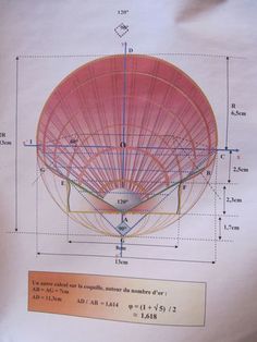 a drawing of a large pink object on top of a sheet of paper with measurements