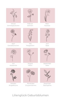 the different types of flowers are shown in black and white, with pink squares behind them