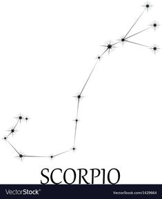 the zodiac sign scorpio on a white background with space for your text