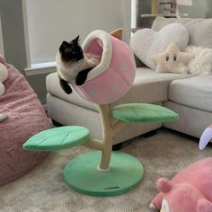 a black and white cat sitting on top of a tree in the middle of a living room