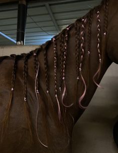 a brown horse with braids on it's back in a barn or building