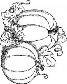 a black and white drawing of pumpkins with leaves