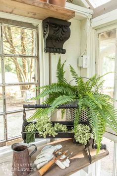 a potted plant sitting on top of a window sill next to tools and plants