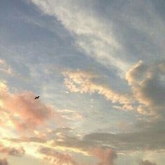 there is a bird flying in the sky at sunset or dawn, with pink clouds behind it