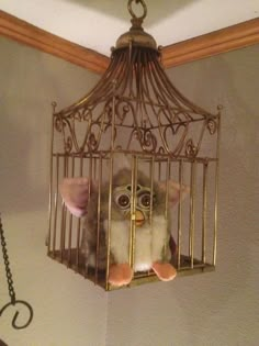 a stuffed animal in a bird cage hanging from the ceiling on a chain attached to a light fixture