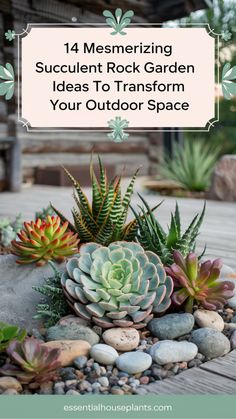 A stunning succulent rock garden featuring an array of colorful succulents and stones arranged beautifully in an outdoor space. Succulent Arrangements Outdoor, Succulent Garden Ideas, Succulent Garden Outdoor, Mini Succulent Garden