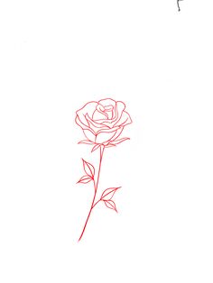 a drawing of a single rose on a white background