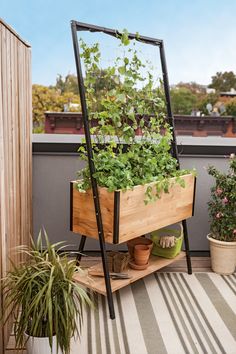 a wooden planter filled with green plants on top of a roof garden area next to potted plants