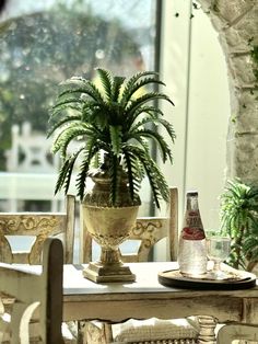 a potted plant sitting on top of a wooden table