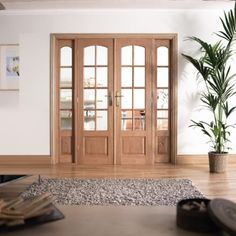 a living room filled with furniture and a potted plant on top of a rug