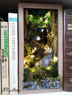 a book shelf filled with books and a miniature garden