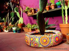 a potted cactus sitting on top of a colorful planter