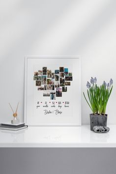 a white shelf topped with a potted plant next to a framed photo on top of it