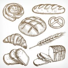 breads and loaves drawn by hand on white paper stock photo image 517981