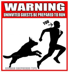 a man running next to a dog with the caption warning uninvived guts be prepared to run