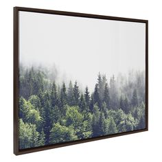 a forest with trees in the fog on a white background framed canvas wall art print